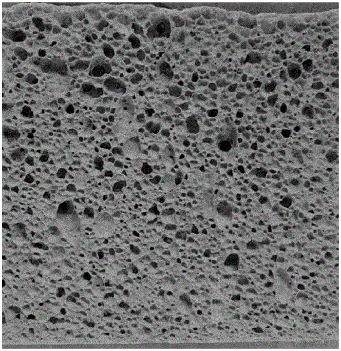發(fā)泡陶瓷磚與輕體磚的強(qiáng)度對(duì)比